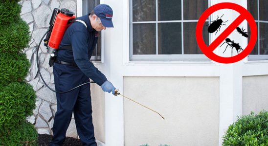 Reisdere Hamam Böceği İlaçlama böcek ilaçlama ve haşere kontrolü — ilaclama-tr.com